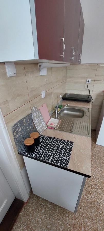Apartamento Duplex Mihajlovic-Vrnjačka Banja Exterior foto