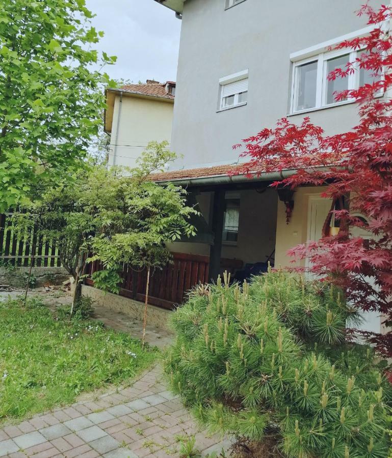 Apartamento Duplex Mihajlovic-Vrnjačka Banja Exterior foto